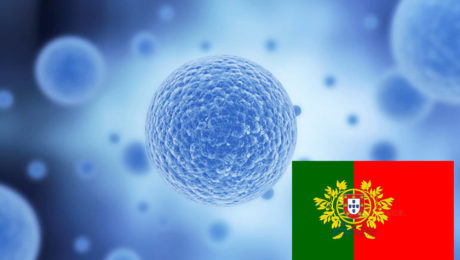 Stem Cell Portugal